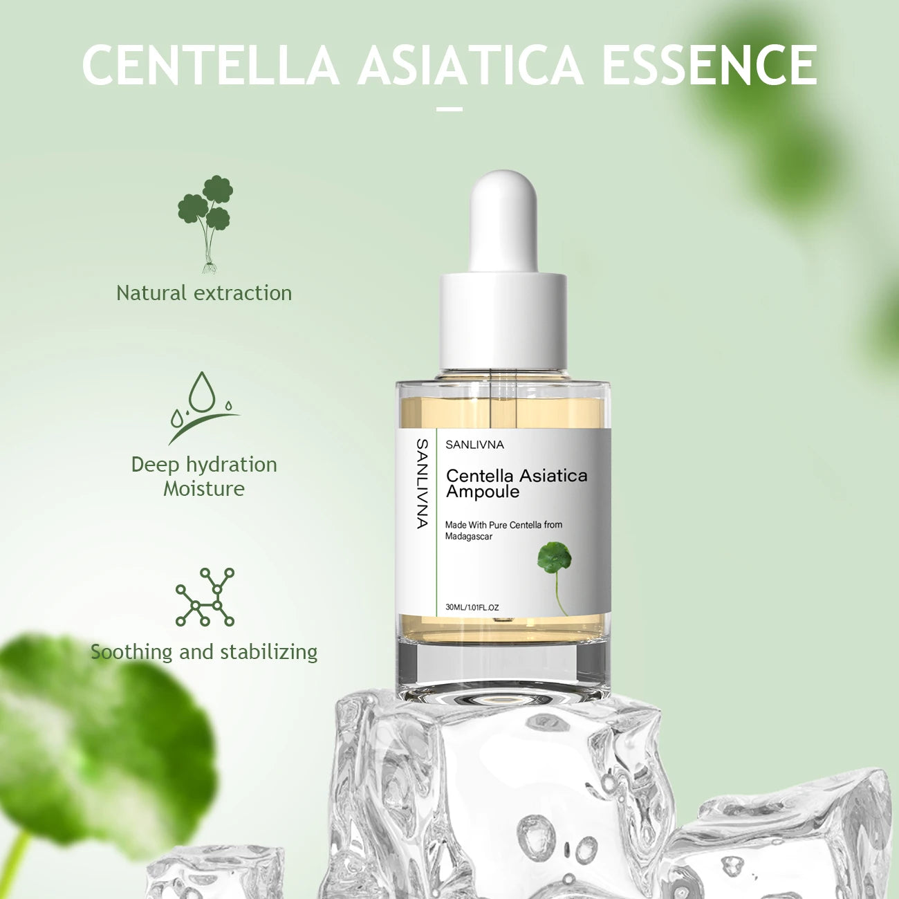 Centella Asiatica 3pcs