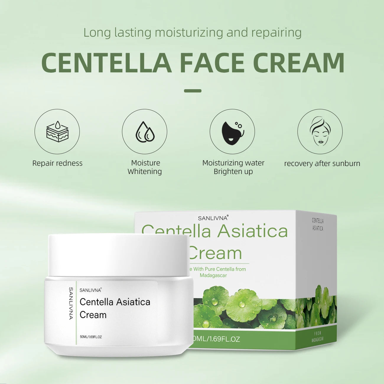 Centella Asiatica 3pcs